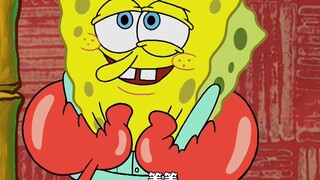 Một đội quân bọ chét rình rập Squidward, nhờ Spongebob đã dụ chúng đi