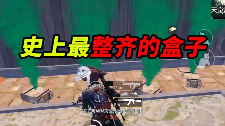 【蜜獾】：史上最齐盒子，黑哥反复横跳