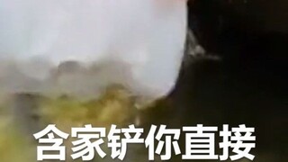 【粤语】虚拟水母迷因