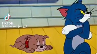 Tom And Jerry