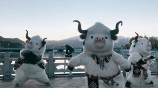 Bò con dễ thương quá đi mất, đáng yêu quá đi mất!