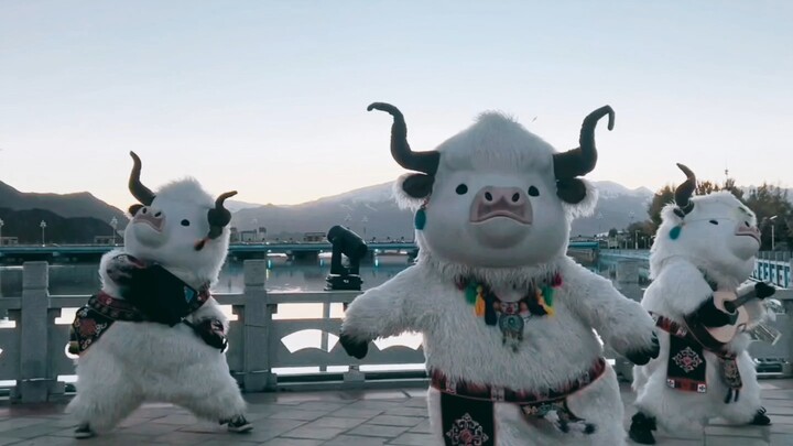 بقرة لطيفة، لطيفة جدًا!