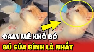 Hoàng Thượng chỉ THÍCH BÚ SỮA BÌNH dù đã bước qua tuổi CAI SỮA 😂 | Yêu Lu