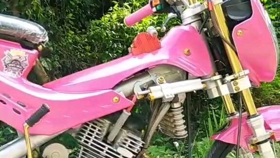 pinky dl150