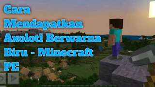 Cara Mendapatkan Axolotl Berwarna Biru - Minecraft PE