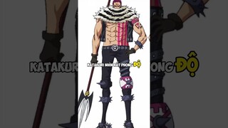 One Piece Tuổi của các nhân vật Luffy Zoro Sanji Đảo Hải Tặc #onepiece #shorts