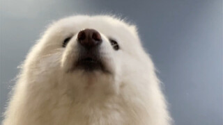 Setiap kali dia muncungkan mulutnya sambil menggerutu, aku jadi ingin mencubit mulutnya.