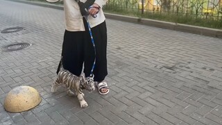 Huhu lần đầu tiên ra ngoài và học cách đi xuống cầu thang