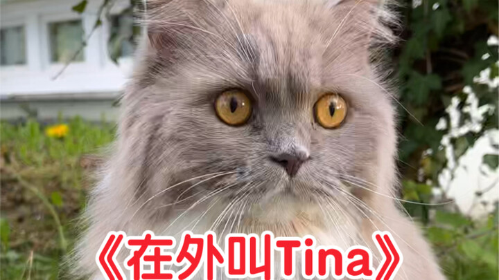 Selesai. Apa tetangga Jerman mau berebut hak asuh Jiujiu sama aku?