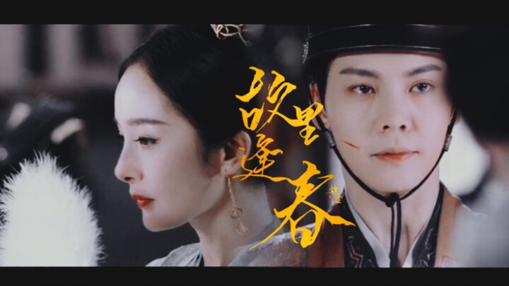 【斛珠夫人】从此古言男女主有了脸！！！这对真的颜值高！！！‖杨幂｜陈伟霆