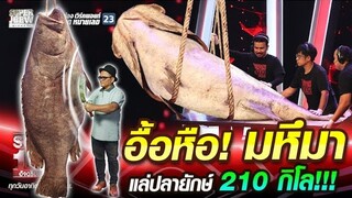 เฮียเล็ก อื้อหือ! มหึมา แล่ปลายักษ์ 210 กิโล!!! | SUPER100