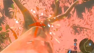 [The Legend of Zelda: Breath of the Wild] Would anyone really open a tower like this?