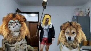 المشغل المفضل لـ King of Advance