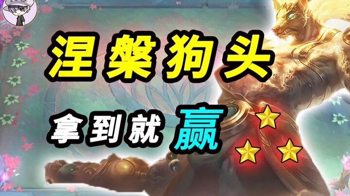 TOO顶天选上分系列【涅槃狗头】拿到等于上分-另加3套阵容让你赢