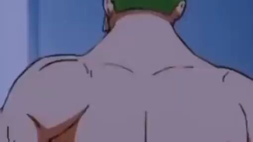 Roronoa Zoro🤙