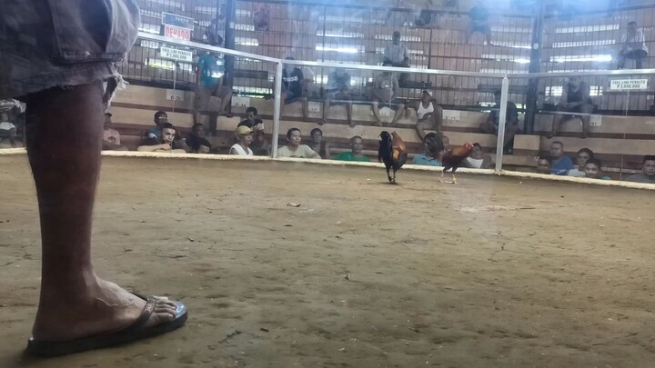 Jan 1 2024 3wins 1lost.