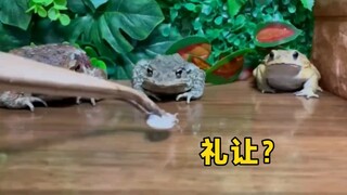 Về tốc độ phản ứng của Frog, anh ấy không được thông minh cho lắm.