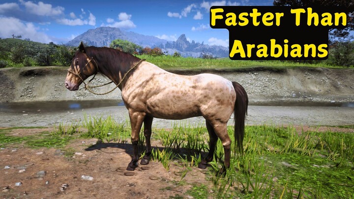 Red Dead Redemption 2 4 Horses Faster Than Arabains & How to Get Them