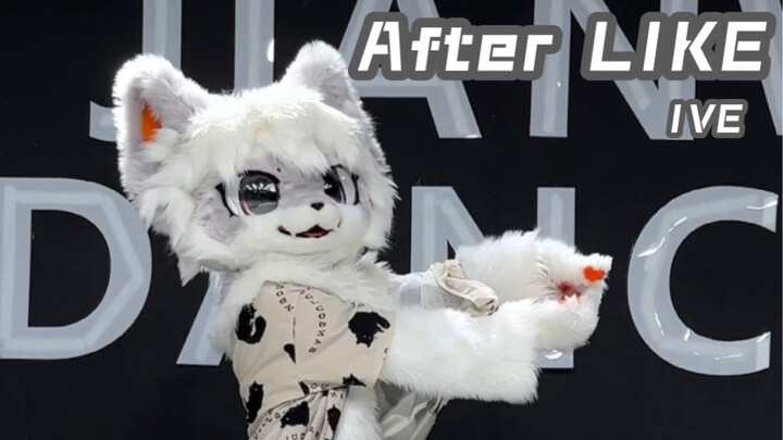 【Nhảy fursuit】Maomao nhanh chóng cover ca khúc mới của IVE sau LIKE【Cá tế thần】
