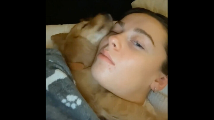 “Momen saat si anak anjing menyadari bahwa ia telah menemukan rumah untuk selamanya”