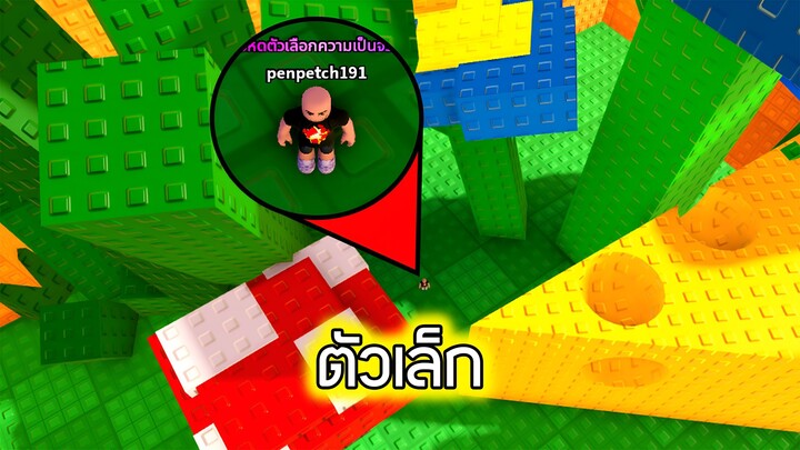 Roblox : วิ่งหดตัว 2 - 1 Shrink per Step