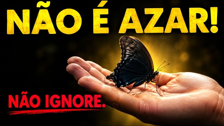 O Segredo do Caminho Silencioso _ Pescador Digital - Parte 2 🦋