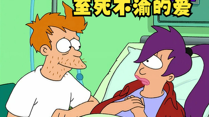 飞出个未来：至死不渝的爱