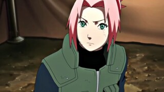 Sakura: Kok bisa babi punya tangan? Dasar bodoh...