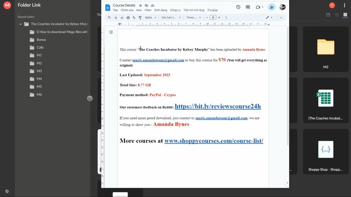[$70] The Coaches Incubator by Kelsey Murphy