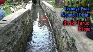 Mancing Di Selokan Pemukiman Ternyata Banyak Ikannya Broo