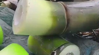 手里的牙签突然不甜了。。。。。。。。。