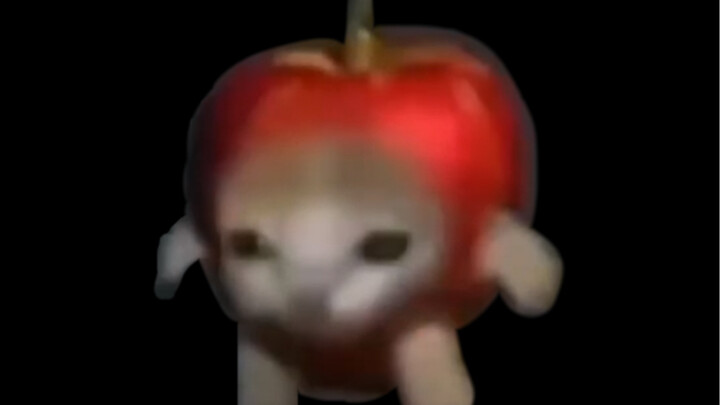 ครัวซองแมว แต่กลับเป็นแมวแอปเปิล (เตือนภาษาฮกเกี้ยน)