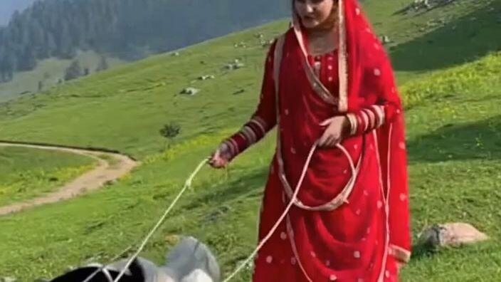 entertainment video