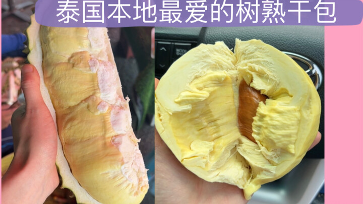 มาดูวิธีปอกทุเรียนแบบคลายเครียดฉบับคนท้องถิ่นไทยกัน! ข้อพิสูจน์ชัดเจนว่าความรักทุเรียนถ่ายทอดทางพันธ