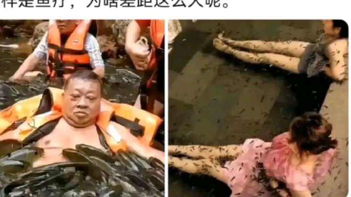 Why is there such a big difference between these two fish spas?