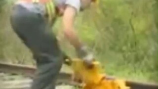 เครื่องกันรถไฟตกรางคืออะไร?