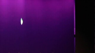 [Fudan University Student Dance Troupe] Cover of "Gathering Wild Vine"｜"When I went there, the willo