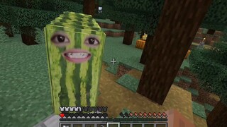 Hello everyone, I'm Xigua Diefu.