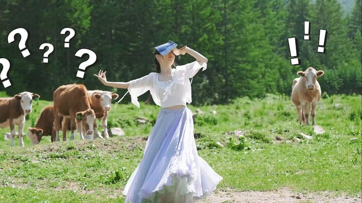 你不妨勇敢些，其实生活中没有那么多观众，牛除外