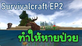 วิธีทำให้หายป่วย | survivalcraft2 EP2 [JUB TV]