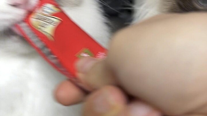 ดอร่าไม่แบ่งอาหาร!