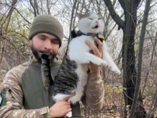 The Chinese netizens' cat accordion creation even became popular on the front line of the Russian-Uk