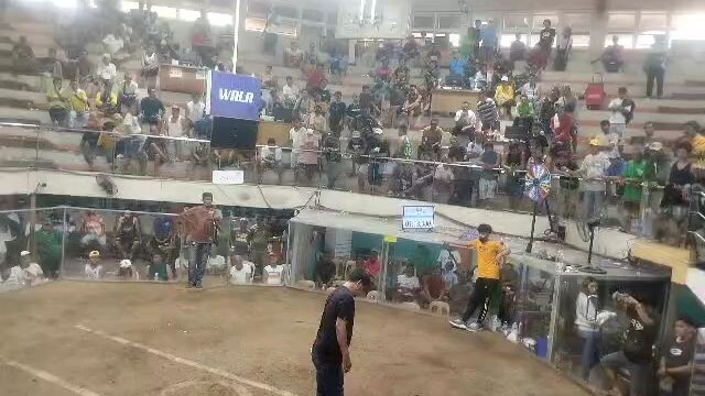 batang Texas caval farm