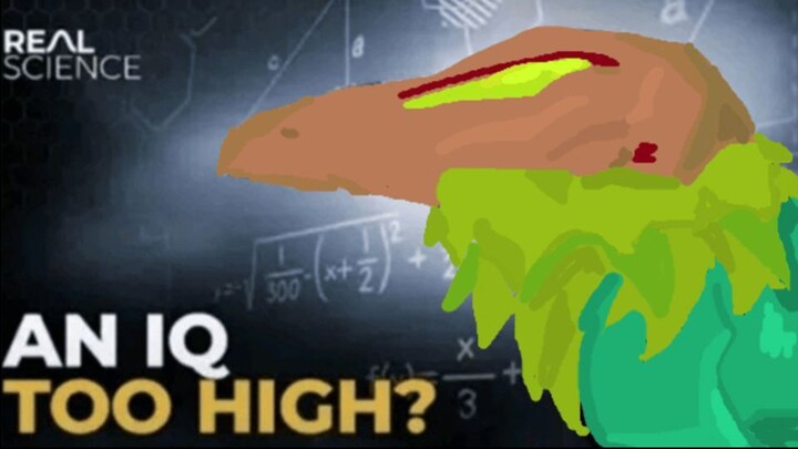 Skye Montage / 无畏契约