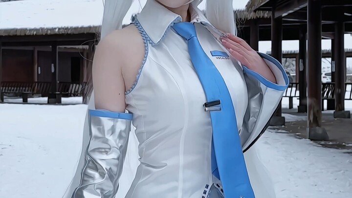 Cơ thể của coser chịu lạnh giỏi đến mức nào