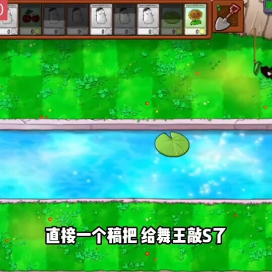 Impure Land Reincarnation