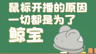 鼠标为迎接鲸宝默默做的准备与繁星主播