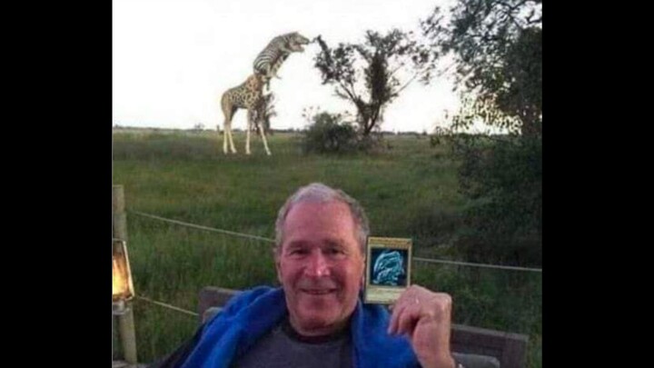 مختارات من مقاطع الفيديو الممتعة من الخارج، بعد مشاهدتها تشعر أن العالم بأكمله مليء بالبهجة! #130