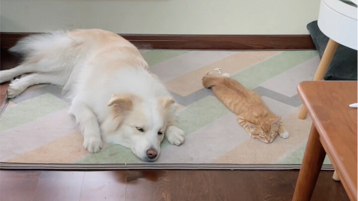 Bella: It's so hard to raise a child who holds grudges!