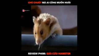 Tóm tắt phim: Giải cứu hamster